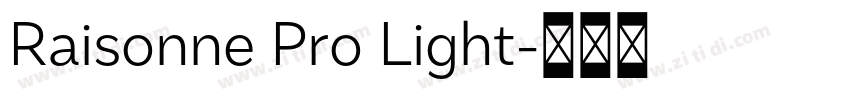 Raisonne Pro Light字体转换